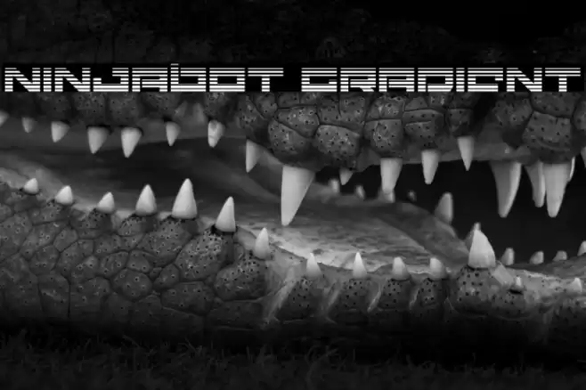 Ninjabot Gradient Font examples