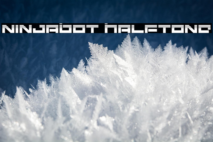 Ninjabot Halftone Example 1
