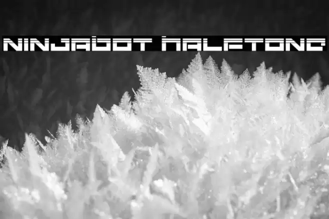 Ninjabot Halftone Caratteri examples
