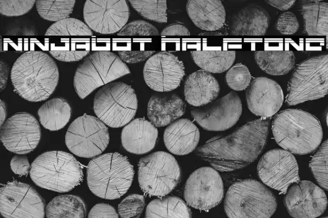 Ninjabot Halftone Caratteri examples