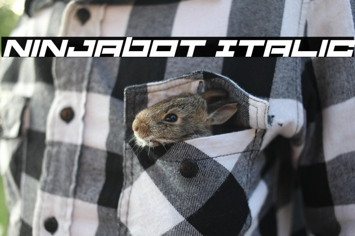 Ninjabot Italic Example 1