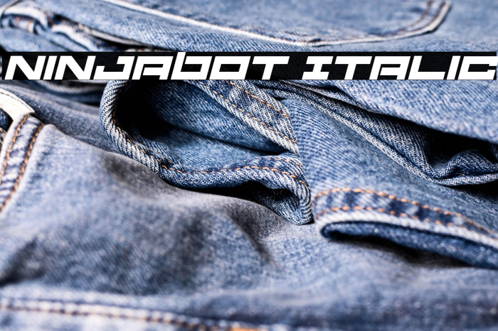 Ninjabot Italic Example 2