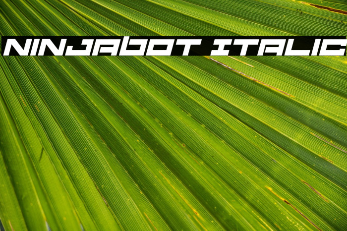 Ninjabot Italic Example 3