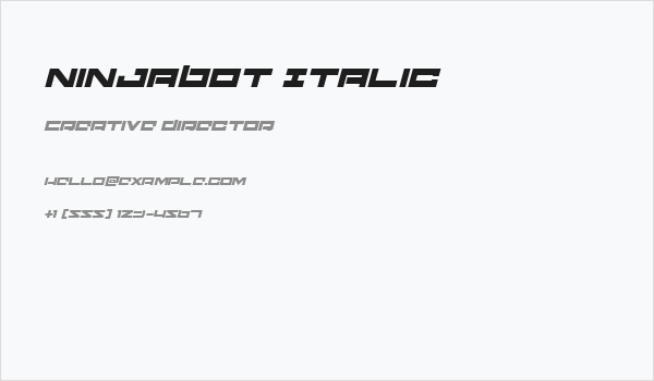 Ninjabot Italic Business Card