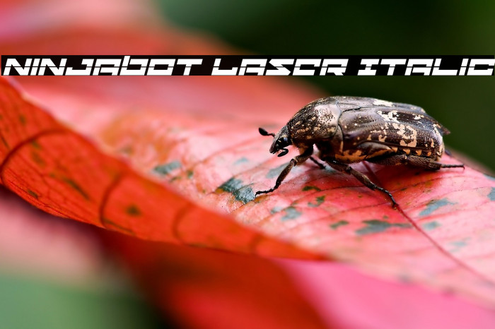 Ninjabot Laser Italic Example 1