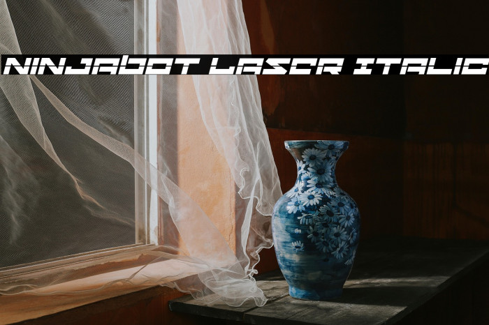 Ninjabot Laser Italic Example 2
