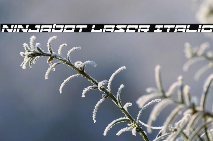 Ninjabot Laser Italic Example 3
