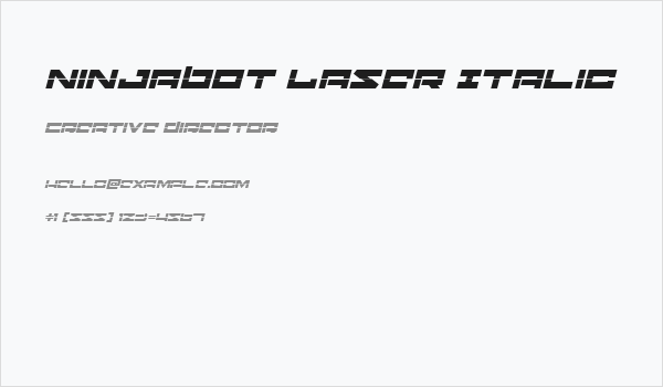 Ninjabot Laser Italic Business Card
