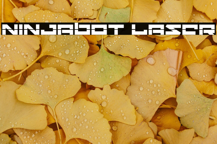 Ninjabot Laser Example 1