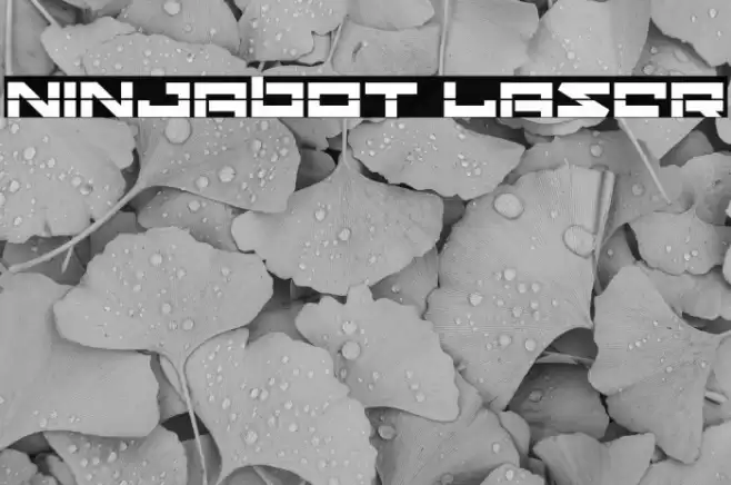 Ninjabot Laser خط examples