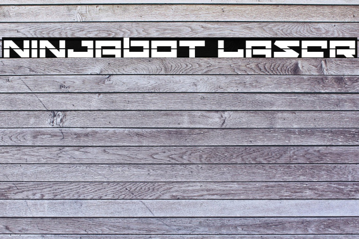 Ninjabot Laser Example 2