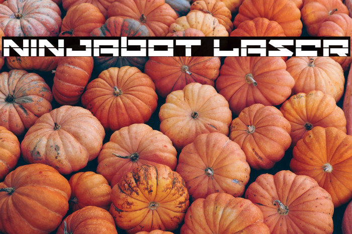 Ninjabot Laser Example 3