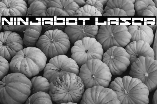 Ninjabot Laser خط examples