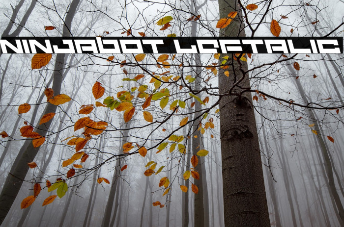 Ninjabot Leftalic Example 2