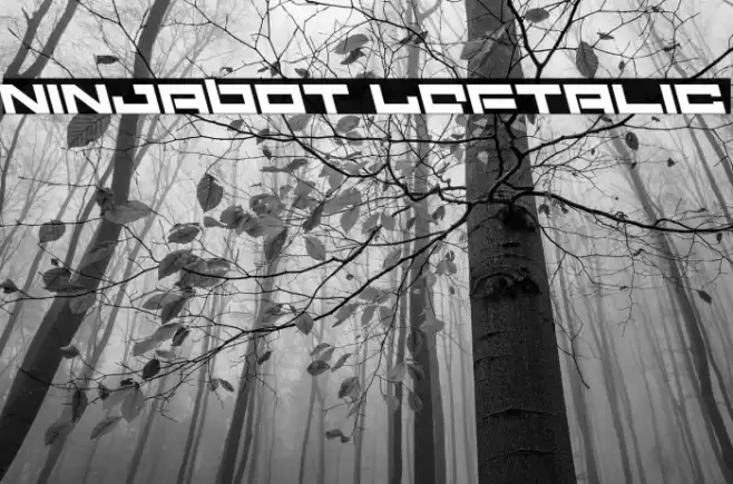 Ninjabot Leftalic Font examples