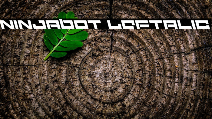 Ninjabot Leftalic Example 3