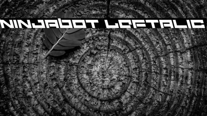 Ninjabot Leftalic Font examples