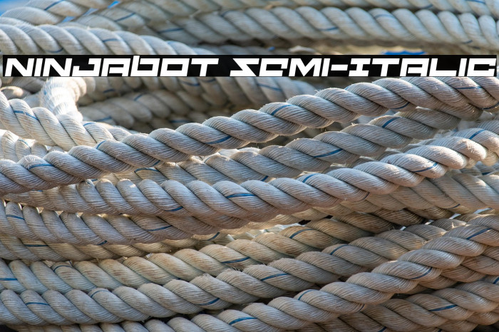 Ninjabot Semi-Italic Example 1