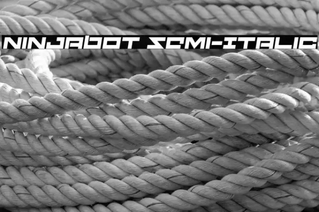 Ninjabot Semi-Italic Font examples