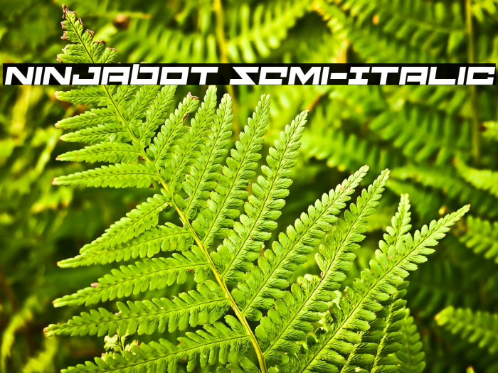 Ninjabot Semi-Italic Example 2