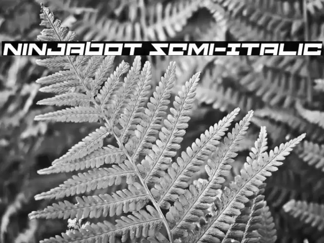 Ninjabot Semi-Italic Font examples