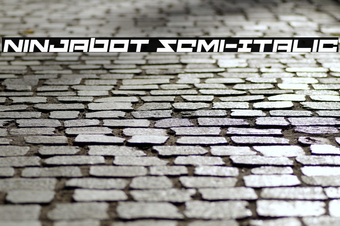 Ninjabot Semi-Italic Example 3