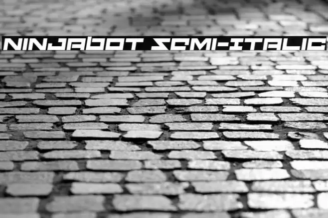Ninjabot Semi-Italic Font examples