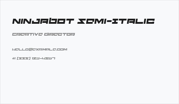 Ninjabot Semi-Italic Business Card