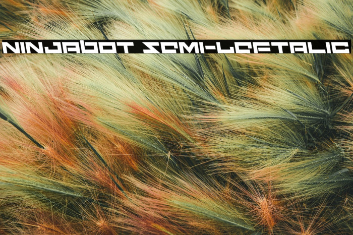 Ninjabot Semi-Leftalic Example 1