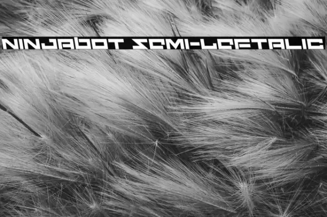 Ninjabot Semi-Leftalic Font examples
