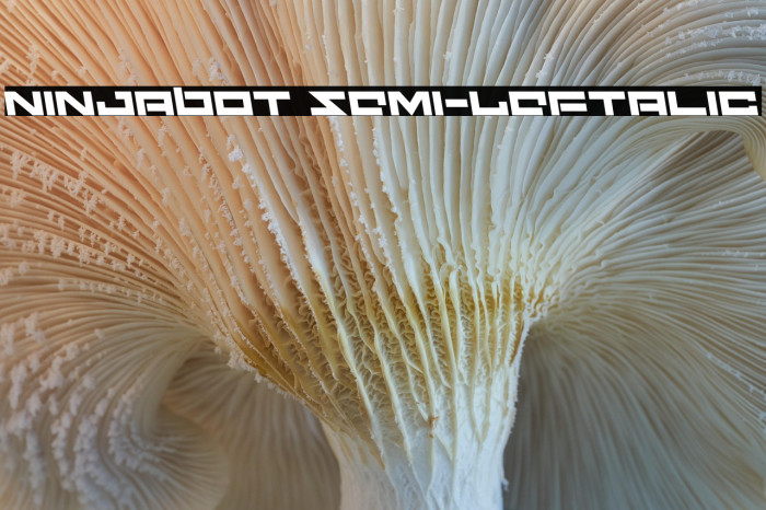 Ninjabot Semi-Leftalic Example 3