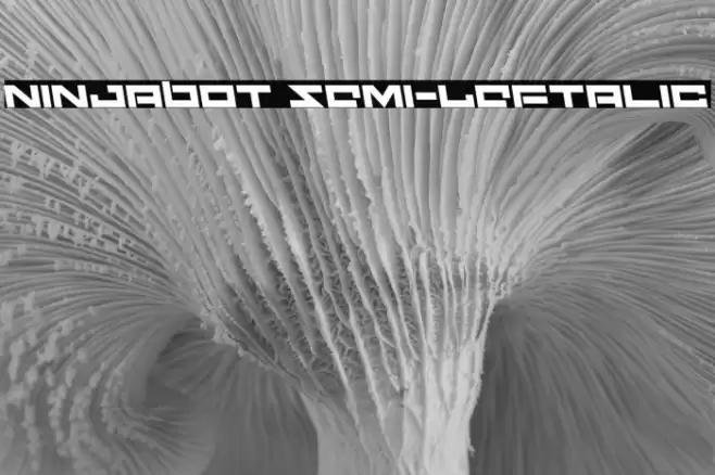 Ninjabot Semi-Leftalic Font examples