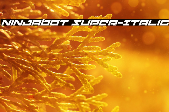 Ninjabot Super-Italic Example 2