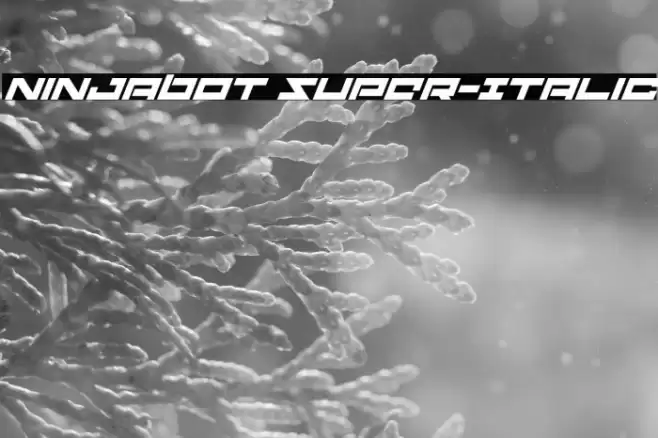 Ninjabot Super-Italic Font examples