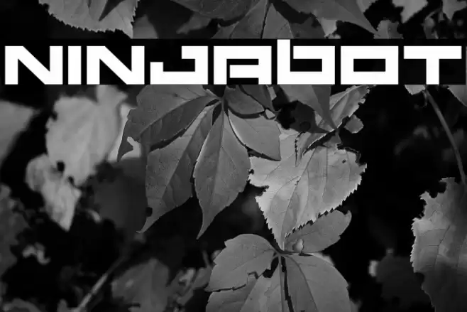 Ninjabot Font examples