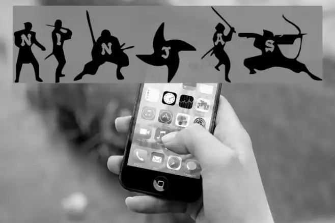 Ninjas Example 1