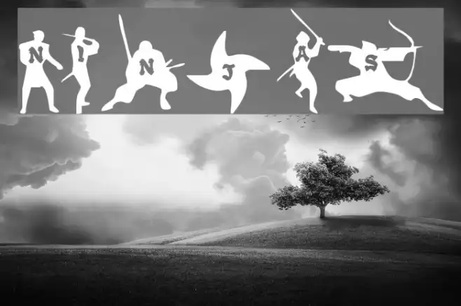 Ninjas Example 3