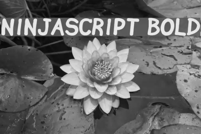 Ninjascript Bold Font examples