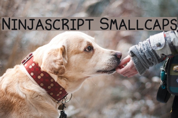 Ninjascript Smallcaps Font examples