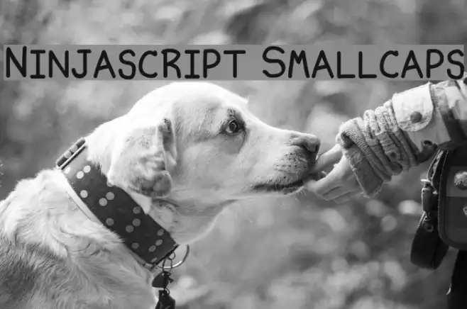 Ninjascript Smallcaps Example 1