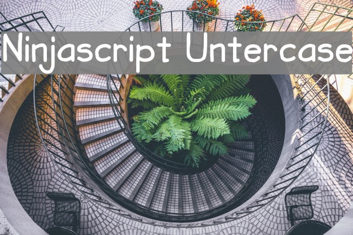 Ninjascript Untercase Font examples