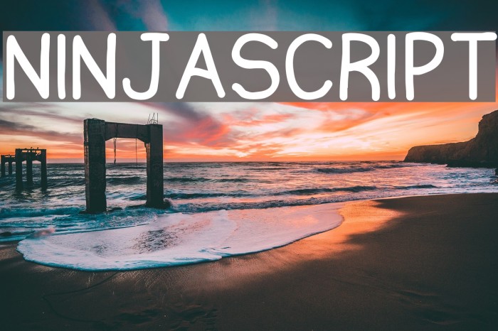 Ninjascript Font examples