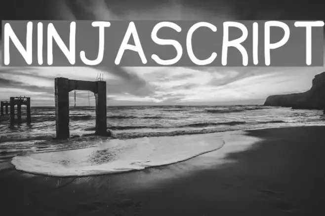 Ninjascript Example 2
