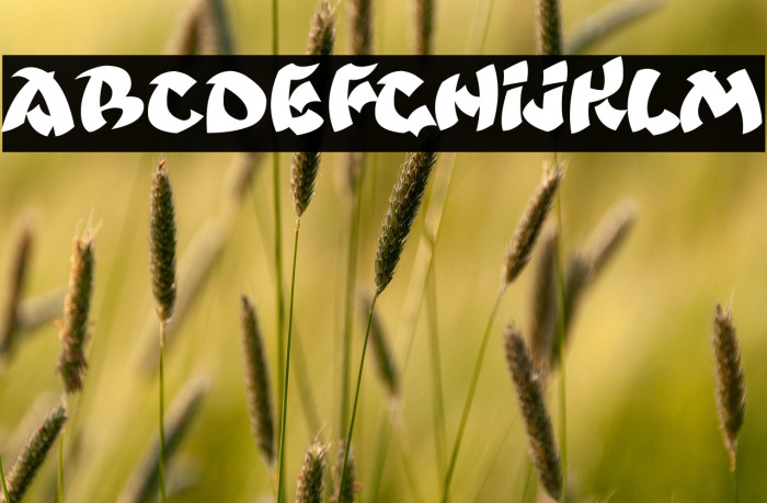 Ninjastrike Example 1