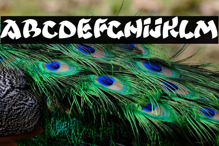 Ninjastrike Example 2