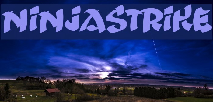 Ninjastrike Example 2