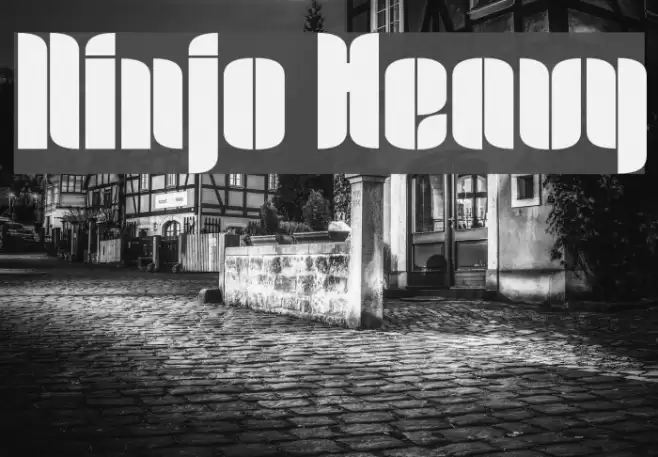 Ninjo Heavy Font examples