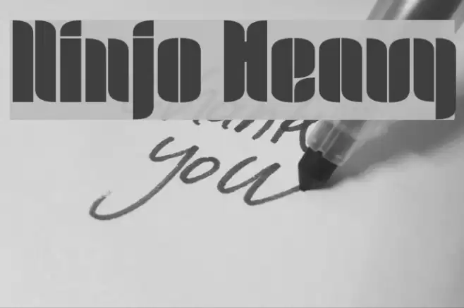 Ninjo Heavy Font examples