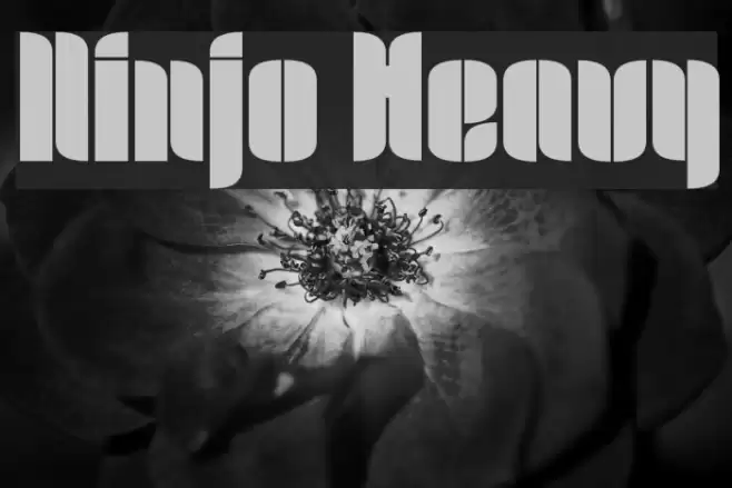 Ninjo Heavy Font examples