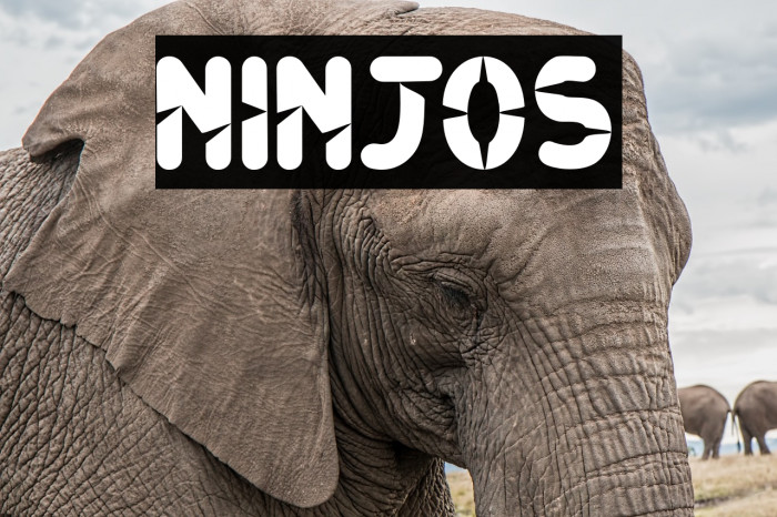 Ninjos Font examples